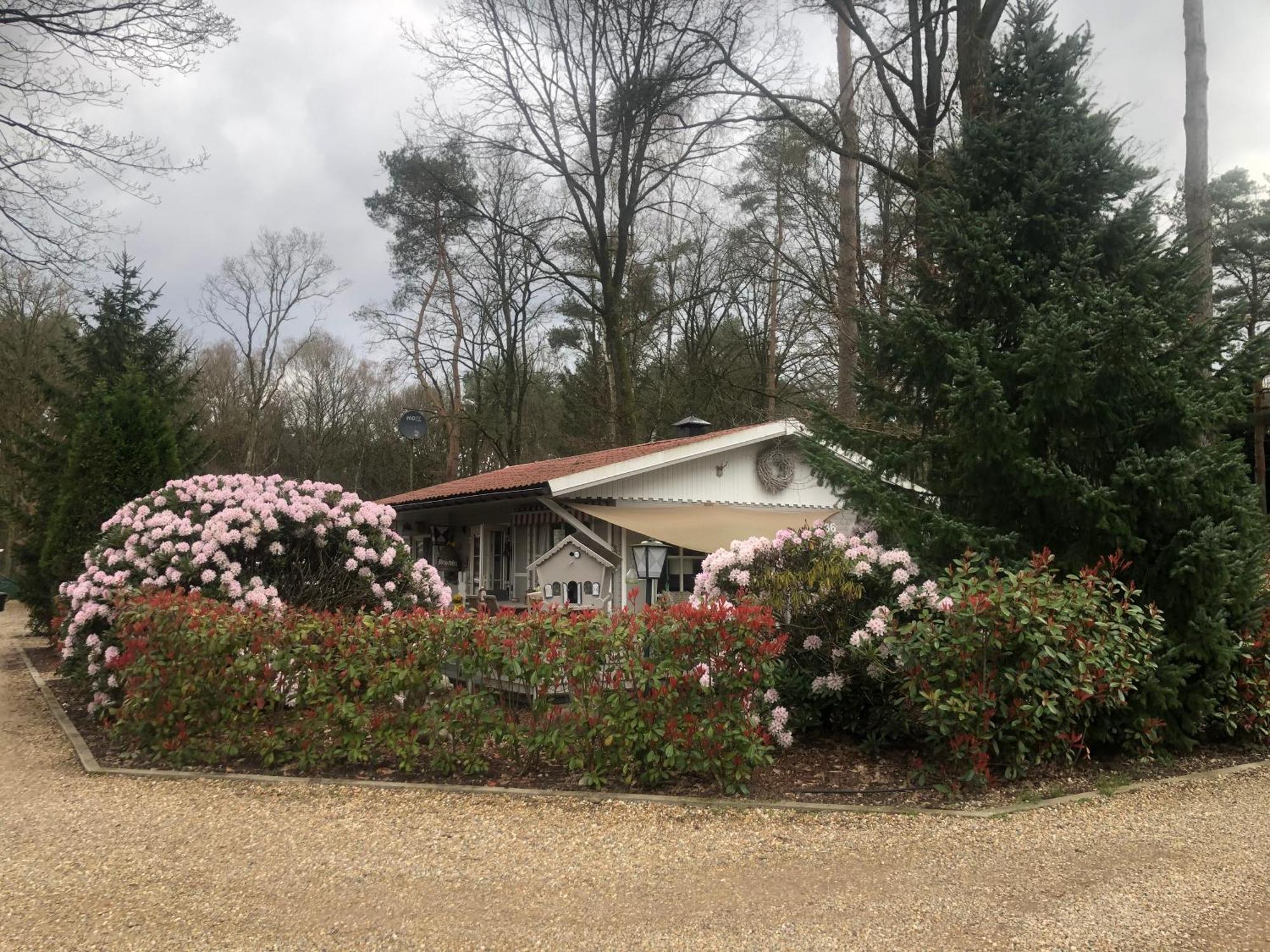 זוטנדאל Chalet 2Relax מראה חיצוני תמונה